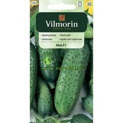 Ogórek gruntowy Aloe Vilmorin