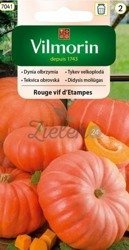 DYNIA Rouge Vif d' Etampes 3g