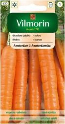 Marchew Amsterdam 3 Vilmorin