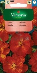 Kosmos Diablo  mix 1g