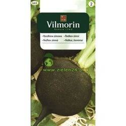 Rzodkiew zimowa Murzynka Runder Vilmorin