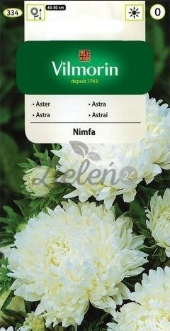 Aster Chiński Nimfa Vilmorin