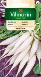 Rzodkiewka Sopel Lodu Vilmorin