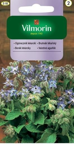 Ogórecznik Lekarski 2g