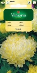 Aster Chiński Sonata Vilmorin