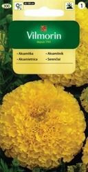 Aksamitka cytrynowa Vilmorin