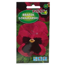 Bratek szwajcarski różowy z plamką Polan