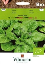 Szpinak Geant BIO 10g