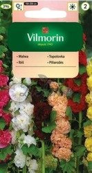 Malwa ogrodowa mix 1g