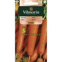 Marchew Karotela Vilmorin