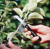 Sierpak Fiskars K62