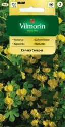 Nasturcja Canary Creeper Vilmorin