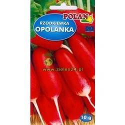 Rzodkiewka OPOLANKA Polan