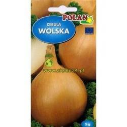 Cebula WOLSKA 5 g Polan