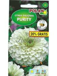 Cynia Daliowa PURITY biała Polan