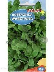 Roszponka Polan