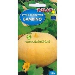 Dynia olbrzymia BAMBINO 5 g Polan