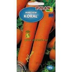 Marchew KORAL 5 g Polan
