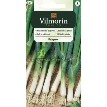 Cebula siedmiolatka Kaigaro Vilmorin