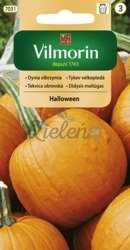 Dynia Hallowen 2g