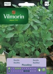Bazylia Piccolino Vilmorin