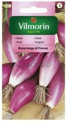 Cebula Rosa lunga di Firenze Vilmorin