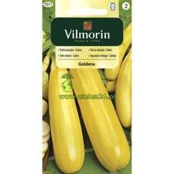 Cukinia Goldena Vilmorin