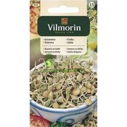 Soczewica- nasiona na kiełki Vilmorin