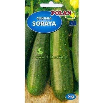 Cukinia SORAYA 3 g Polan