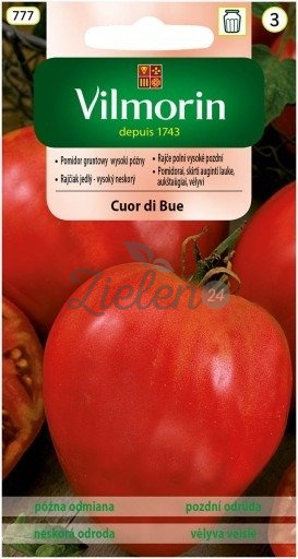 Pomidor Cuor di Bue Vilmorin